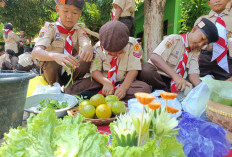 Tak Hanya Akademik, Jamran Pramuka Kecamatan Batang Dorong Anak Kembangkan Skill dan Karakter