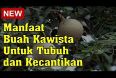 Inilah Manfaat Buah Kawis untuk Kesehatan Tubuh