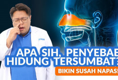 6 Penyebab Hidung Tersumbat, Waspada Mungkin Kamu Alergi