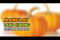 Berbagai Manfaat Labu Kuning untuk Ibu Hamil yang Bisa Dicoba