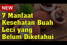 Bergam Manfaat Buah Leci untuk Kesehatan Tubuh yang Perlu Kamu Tahu