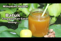 Ini Dia Daftar Minuman Herbal untuk Batuk Kering dan Berdahak yang Bisa Kamu Coba Dirumah