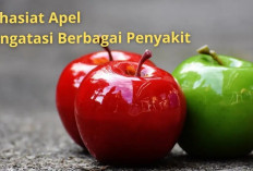 Inilah Khasiat Buah Apel yang Menyehatkan Tubuh, Bisa Cegah Penyakit Kanker