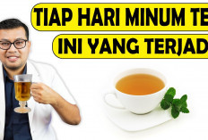 Mau Tahu Manfaat Minum Teh Hitam di Waktu Malam untuk Kesehatan? Kamu Perlu Tahu Fakta-Fakta Ini