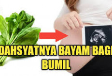 Jangan Remehkan Manfaat Bayam untuk Ibu Hamil, Apa Saja?