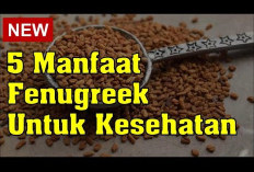 Manfaat Fenugreek untuk Kesehatan, Dapat Mengurangi Kadar Gula Darah