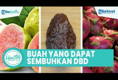 Buah-buahan untuk Demam Berdarah yang Dapat Dikonsumsi