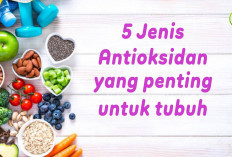 Jenis Antioksidan dan Makanan dengan Kandungan Antioksidan Tinggi