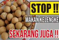 Inilah 4 Golongan Orang yang Perlu Menghindari Buah Kelengkeng untuk Dikonsumsi, Siapa Saja?