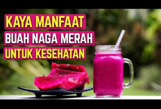 Inilah Manfaat Buah Naga untuk Kesehatan dan Nilai Gizinya yang Perlu Kamu Ketahui