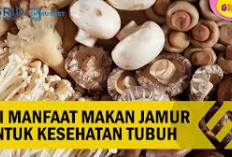 Ini Dia Manfaat Jamur untuk Kesehatan yang Tidak Boleh Diabaikan