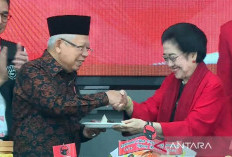 Jubir: Wapres Konsisten Ambil Posisi Netral di Pilpres 2024