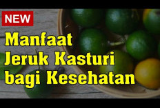 Ini Dia Manfaat Jeruk Kasturi untuk Kesehatan