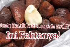 Mitos Atau Fakta? Buah Salak Bikin Susah Buang Air Besar, Begini Penjelasan Selengkapnya