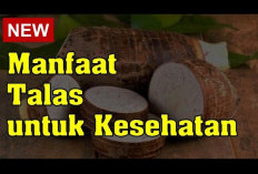 Berikut Ini Macam-macam Manfaat Talas untuk Kesehatan