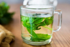 Berikut 7 Minuman Herbal untuk Kesehatan Tubuh, Apa Saja Jenisnya? Ini Dia Daftarnya!