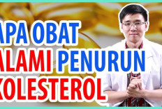 Obat Herbal Kolesterol yang Efektif untuk Mengurangi Kadar Kolesterol Berbahaya