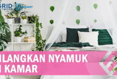 ini Dia Cara Membasmi Nyamuk di Dalam Kamar yang Dapat Kamu Coba