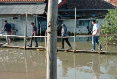 Bawaslu Terabas Banjir Rob