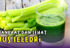 Manfaat Jus Seledri bagi Kesehatan Tubuh, Mampu Menurunkan Berat Badan Hingga Mengurangi Risiko Terkena Kanker