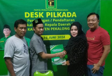 PPP-PKS Kembali di Lirik Cawabup 