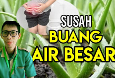 Minuman Herbal untuk Mengatasi Susah Buang Air Besar