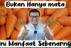 Sederet Manfaat Wortel untuk Menyehatkan Mata, Yuk Simak Penjelasan Berikut ini