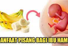 Inilah Manfaat Pisang untuk Ibu Hamil, Dapat Mencegah Sembelit