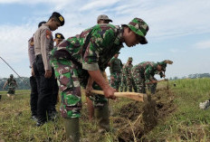 Bantu Ketahanan Pangan, Kodim-Pemkab Batang Buka Lahan Pertanian Baru 1.414 Hektar 