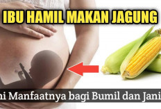 Ternyata Banyak Manfaatnya, Inilah Manfaat Jagung untuk Ibu Hamil yang Perlu Kamu Ketahui