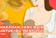 Ini Dia Pilihan Makanan Sehat untuk Ibu Menyusui yang Dapat Dikonsumsi