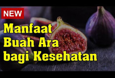 Ini Dia Manfaat Buah Ara untuk Kesehatan, Ternyata Dapat Mencegah Perkembangan Sel Kanker