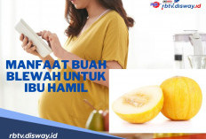 Ini Dia Berbagai Manfaat Blewah untuk Ibu Hamil yang Penting untuk Diketahui