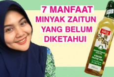 Inilah Manfaat Minyak Zaitun untuk Wanita, Dapat Menyamarkan Bekas Luka