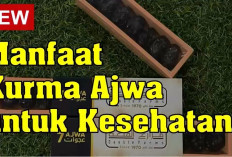 Manfaat Kurma Ajwa untuk Kesehatan, yang Tidak Hanya Enak, Tapi Juga Alami