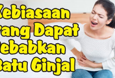 Ternyata Ini Dia 6 Kebiasaan yang Dapat Menyebabkan Batu Ginjal, Sering Kamu Lakukan