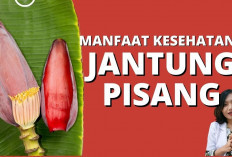 Berikut Ini Manfaat Jantung Pisang untuk Kesehatan yang Perlu Kamu Ketahui