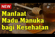 Inilah Beberapa Manfaat Madu Manuka untuk Kesehatan yang Perlu Kamu Ketahui