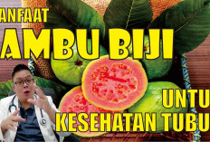 Manfaat Jambu Biji untuk Kesehatan Tubuh, Bagus untuk Pencernaan