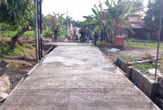 Progres TMMD Sengkuyung di Tirto Rampung 100 Persen