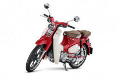 Godaan Warna Baru Sepeda Motor Ikonik Honda Super Cub C12 