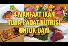 Inilah Manfaat Ikan Tuna untuk Janin, yang Perlu Diketahui Ibu Hamil