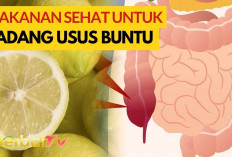 Ini Dia Macam-macam Buah yang Dapat Menyembuhkan Radang Usus