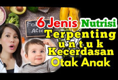 Ini Dia Nutrisi Penting untuk Perkembangan Otak Anak