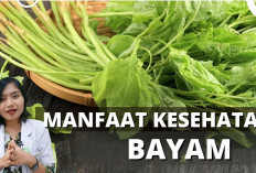 Ini Dia Manfaat Bayam untuk Kesehatan, Dapat Menjaga Kesehatan Kulit dan Menjaga Kesehatan Mata