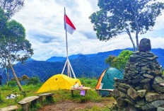 Ada Situs Arkeologi di Puncak Gunung Pekalongan Ini, Peninggalan Zaman Kapan?