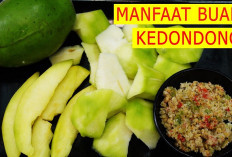 Inilah Beberapa Manfaat Buah kedondong untuk Kesehatan Tubuh, Apa Saja?