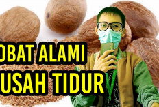 Inilah Obat Alami Insomnia dan Cara Menggunakannya dengan Aman