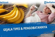 Berikut Ini Adalah Daftar Obat untuk Gejala Tipes yang Dapat Dikonsumsi