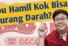 Makanan Penambah Darah untuk Ibu Hamil